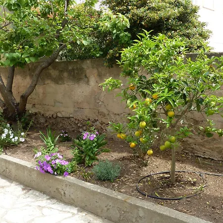 La Corniche Midalain A Cote Des Plages * Sète